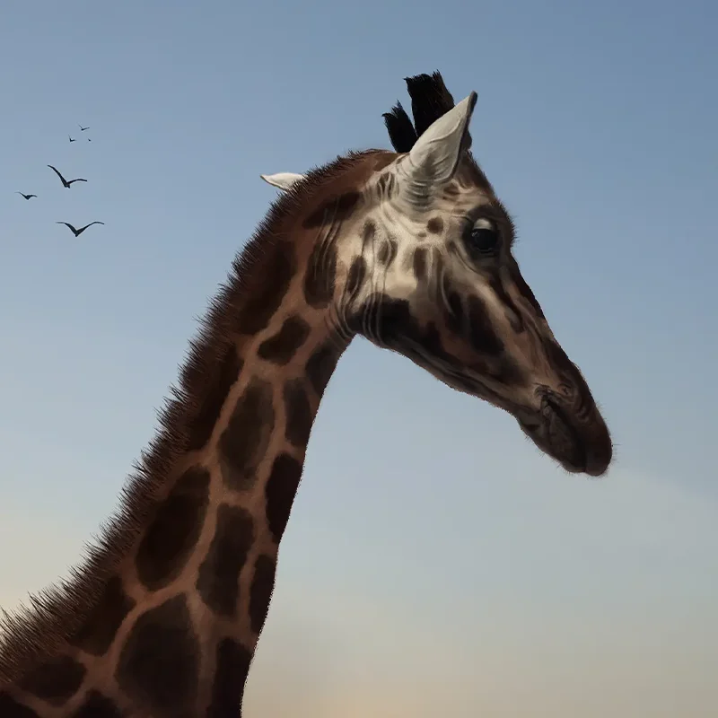 Local Makers brand refresh visuals