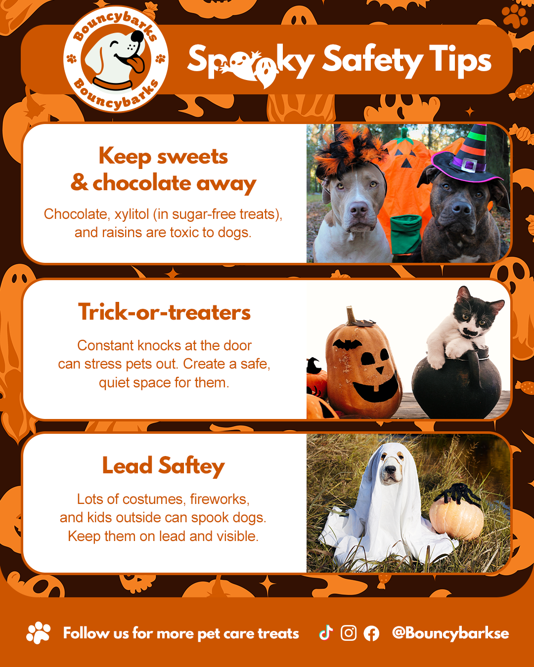 BouncyBarks Halloween tips social post