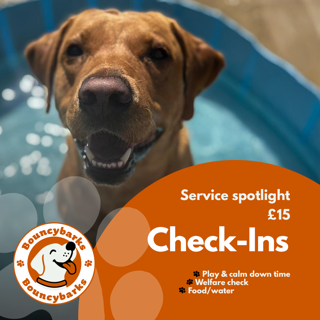BouncyBarks service spotlight check-in post