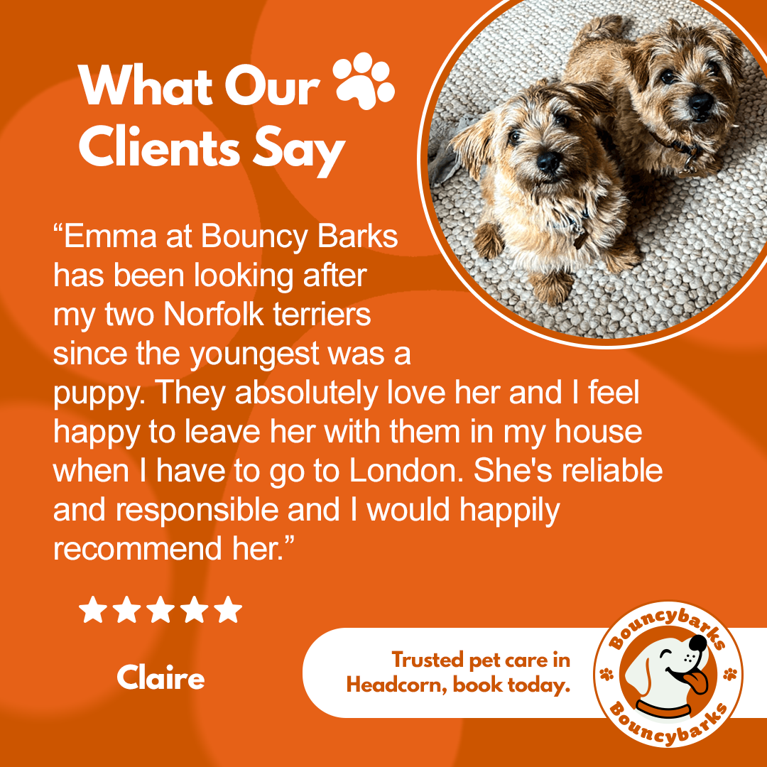 BouncyBarks testimonial social post