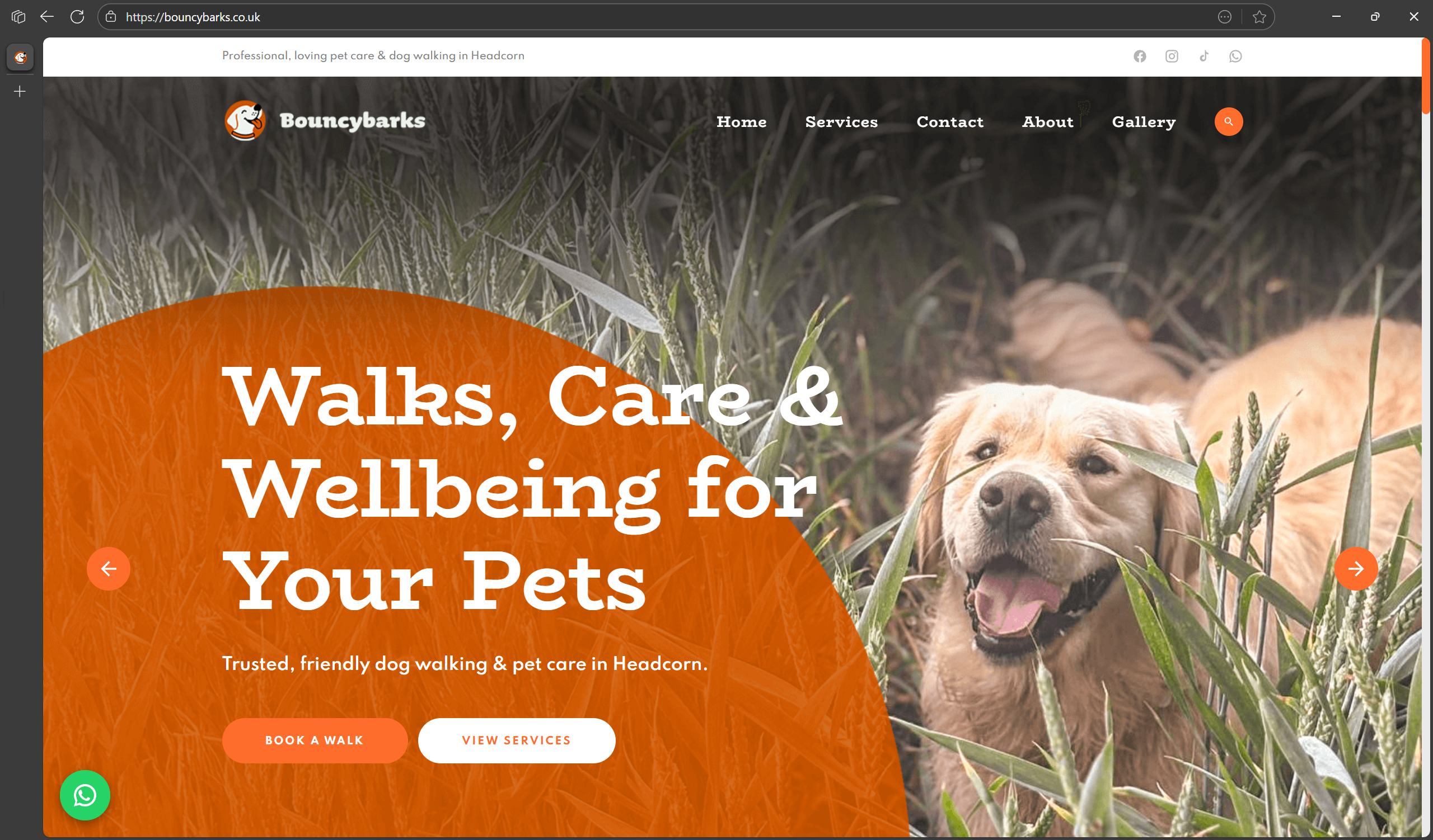 BouncyBarks homepage refresh